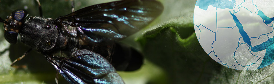 Agriprotein Middle East