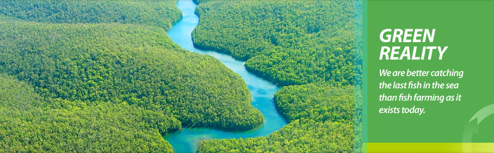 Green Reality: We are better catching the last fish in the sea than fish farming as it exists today.