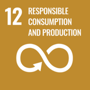 Responsible consumption and production Responsible consumption and production